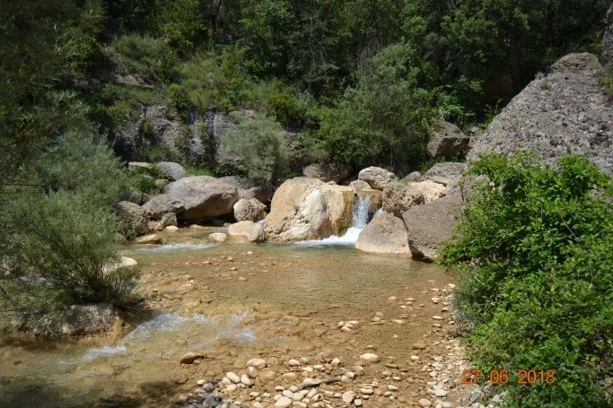 Reserva Natural Fluvial Tramo Alto del Aigua d'Ora