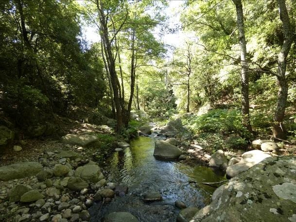 Reserva Natural Fluvial Cabecera de L'Anyet