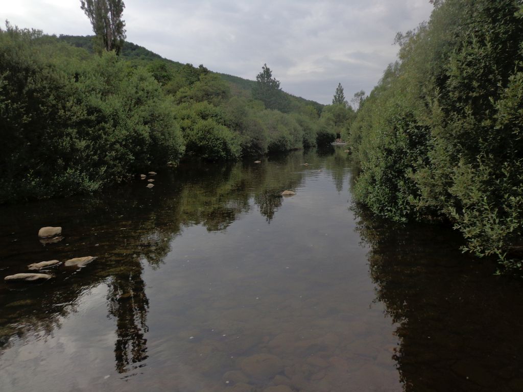 Cauce abierto en un tramo recto del río en la reserva natural fluvial Alto Pisuerga