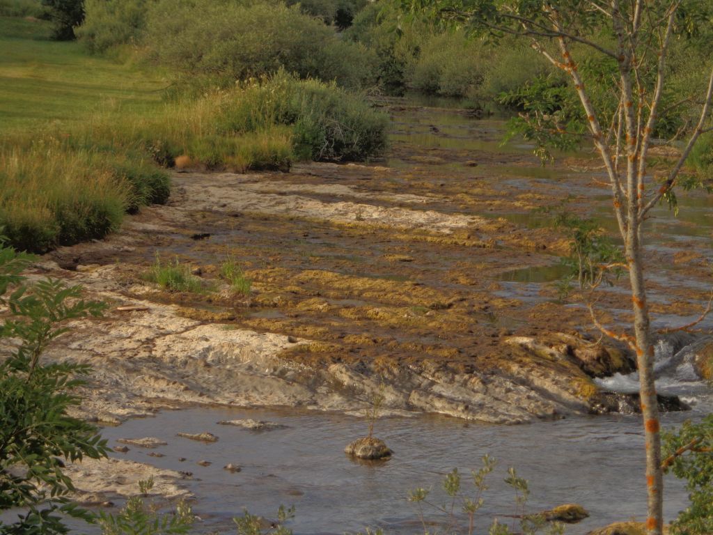 Afloramientos rocosos de considerables dimensiones en el cauce en la reserva natural fluvial Alto Pisuerga