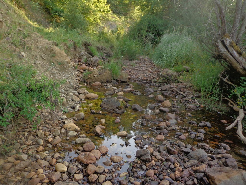 Cauce con síntomas de erosión en una de sus orillas en la reserva natural fluvial Arroyo Resoba
