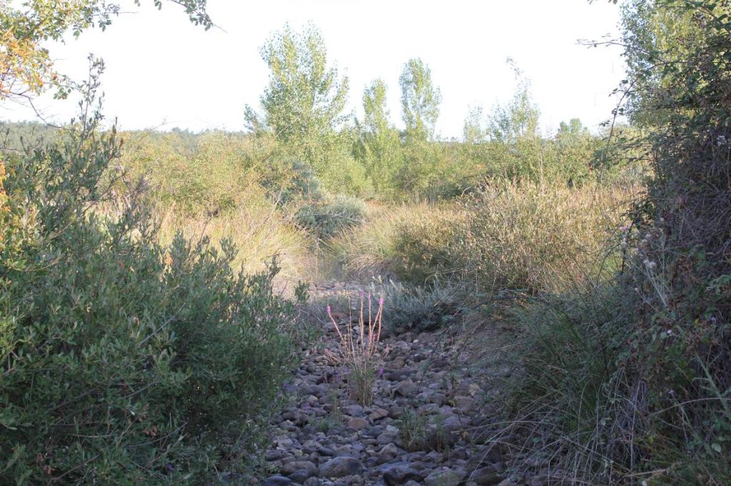 Lecho seco del río en época de estiaje en la reserva natural fluvial Río Riosequino