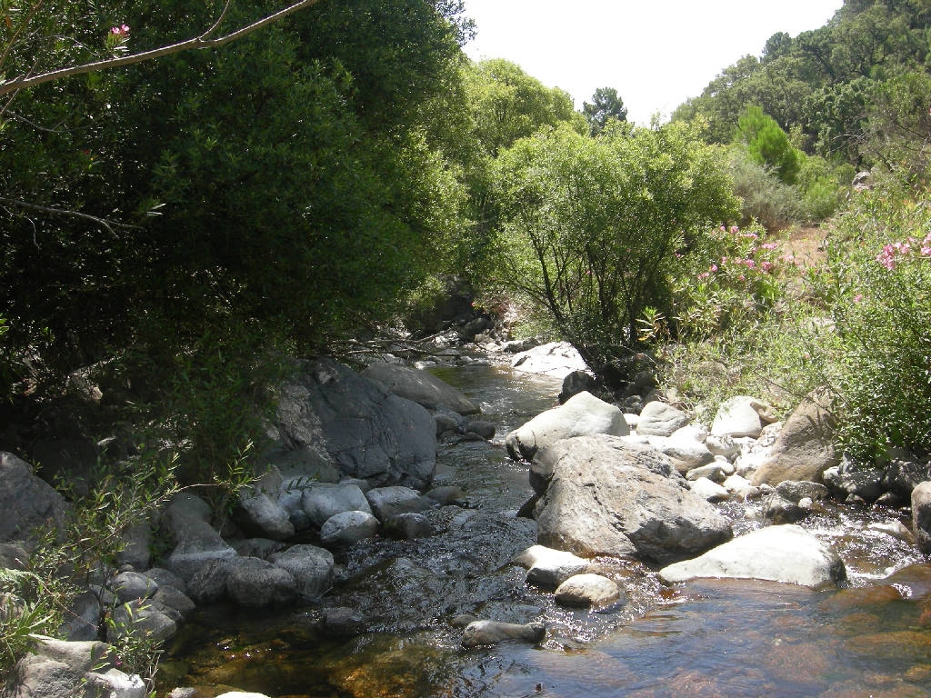 Reserva Natural Fluvial Alto Guadaiza