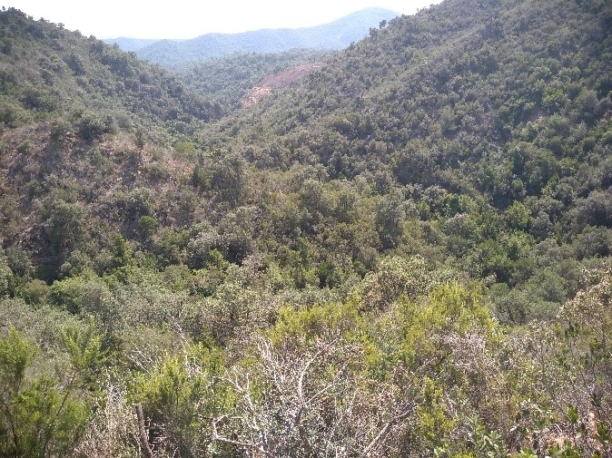 Reserva Natural Fluvial Torrente de Aiguafina