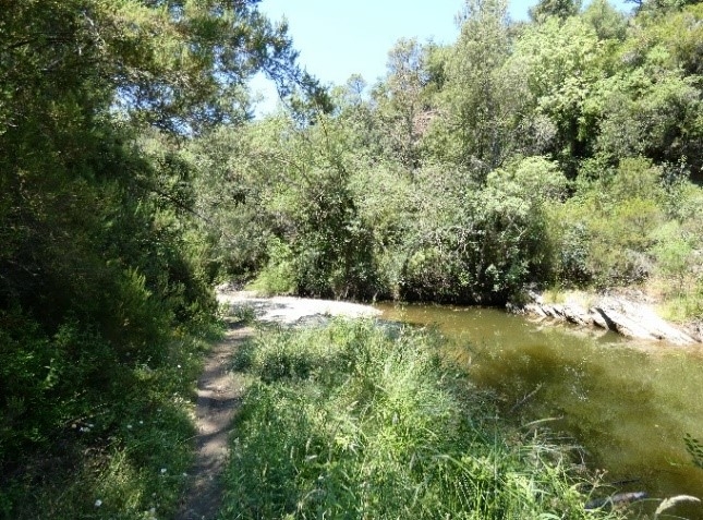 Reserva Natural Fluvial Cabecera del Daró