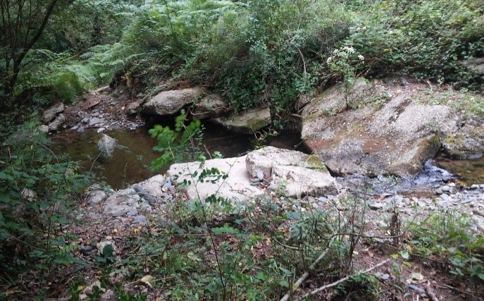 Reserva Natural Fluvial Riera de Picamena