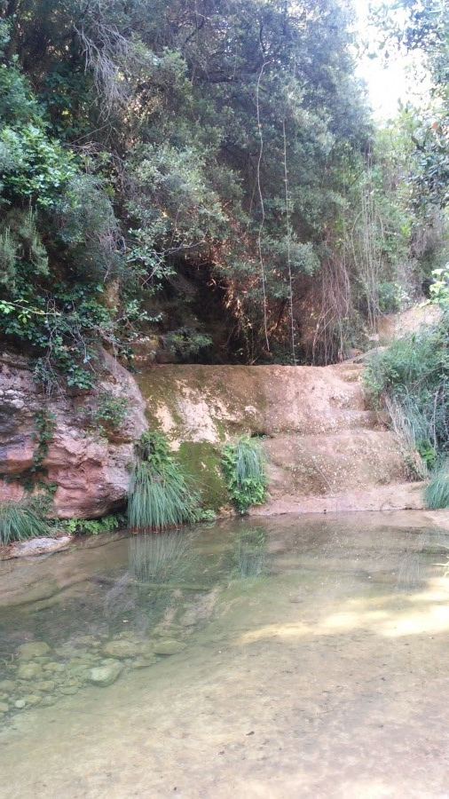 Reserva Natural Fluvial Torrente de Guanta