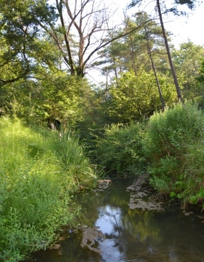 Reserva Natural Fluvial Cabecera de la Riera de Oló