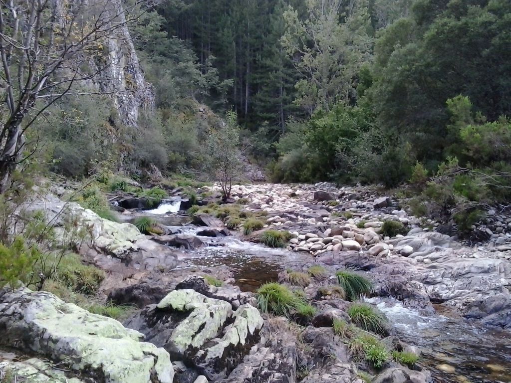Diversidad de hábitats fluviales a lo largo del río en la reserva natural fluvial Río Jarama