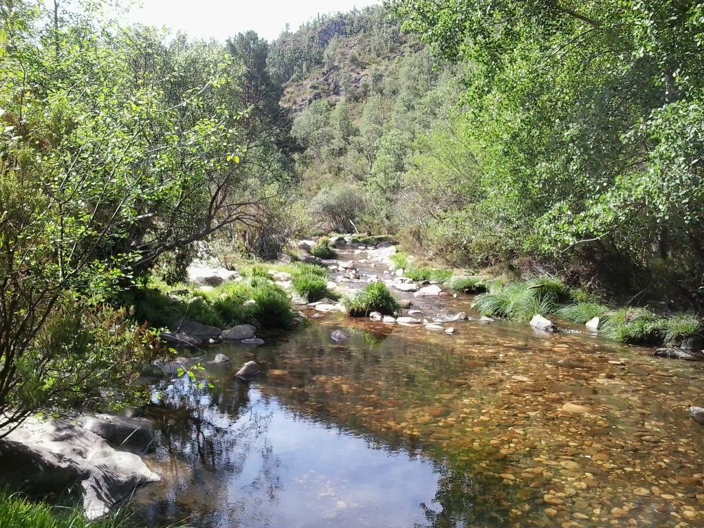 Tablas de agua en la reserva natural fluvial Río Jarama