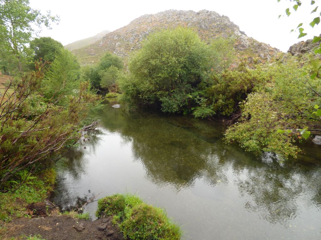 Aguas remansadas en la reserva natural fluvial Río Navea I