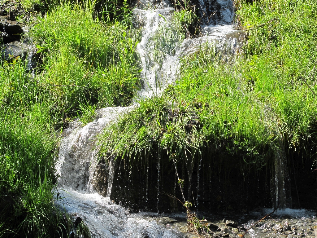Reserva Natural Fluvial Alto Trevélez
