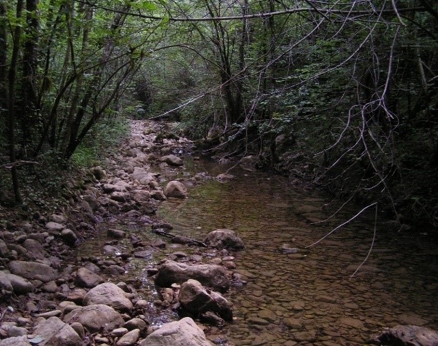 Reserva Natural Fluvial Riera de Oix