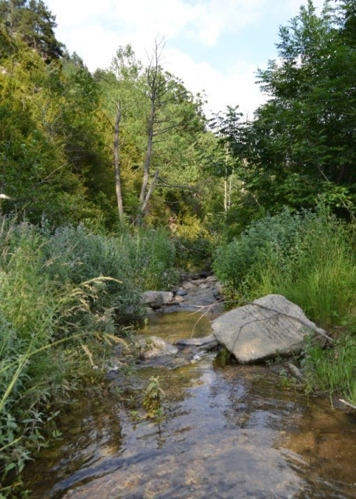 Reserva Natural Fluvial Cabecera del Rigard