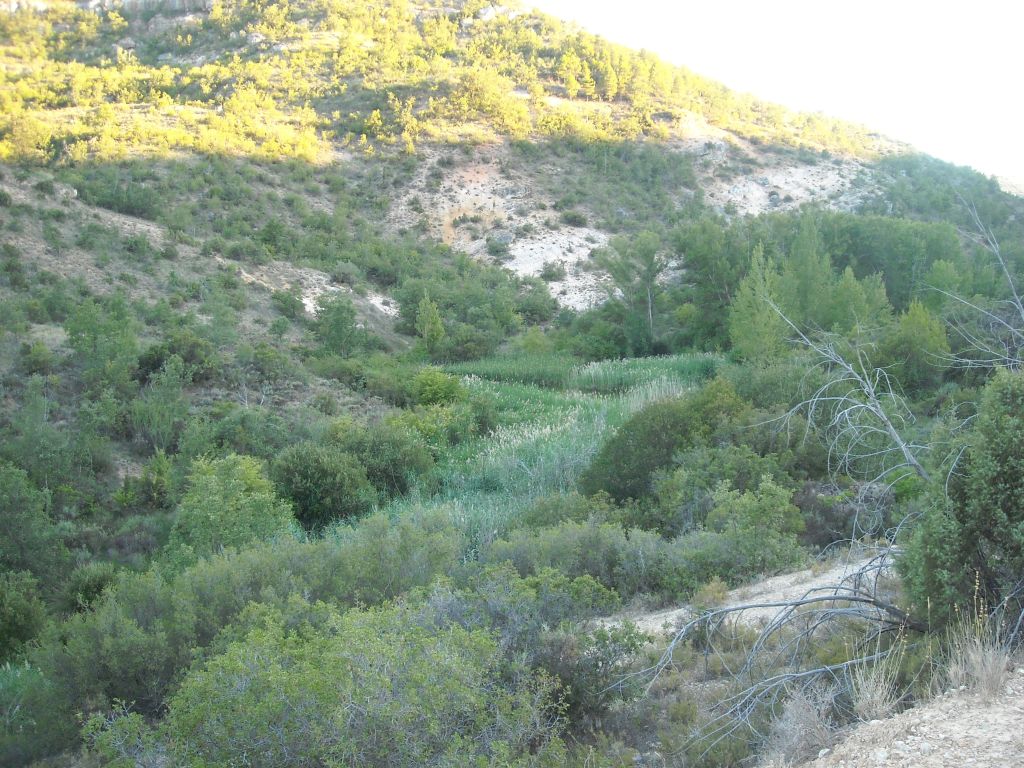Vista panorámica de la reserva natural fluvial Arroyo Ompolveda