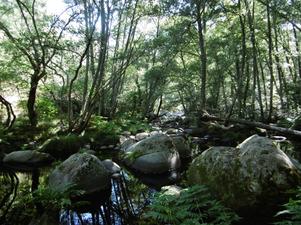 Afloramientos rocosos que crean zonas de agua remansada en la reserva natural fluvial Río Francia