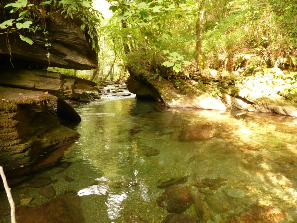Poza en la reserva natural fluvial Río Lor I