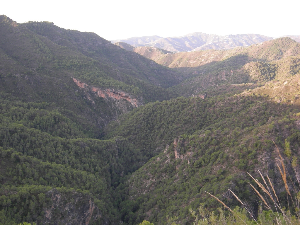 Reserva Natural Fluvial Chíllar