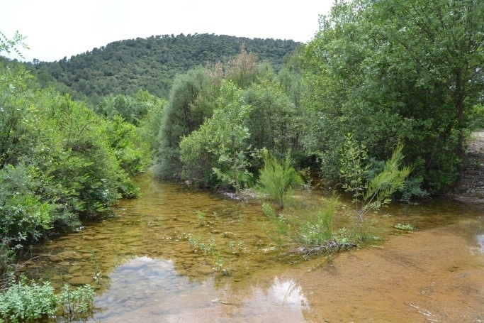 Reserva Natural Fluvial Río Brugent