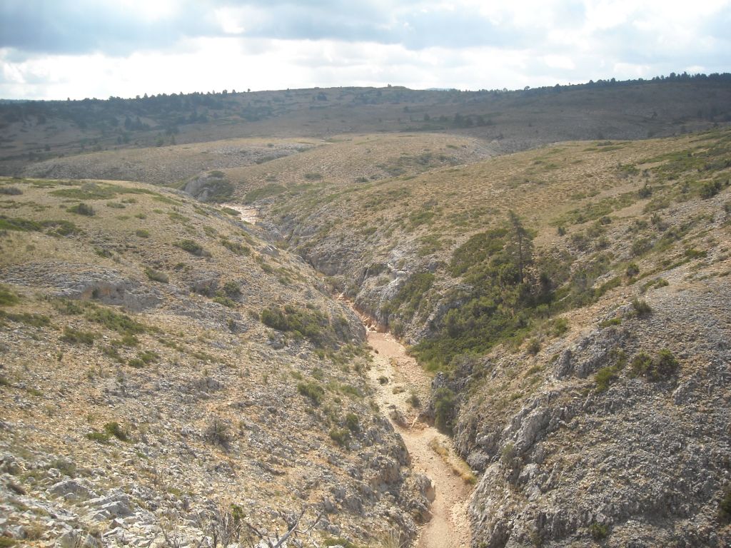 Vista general de la reserva natural fluvial Arroyo los Huecos
