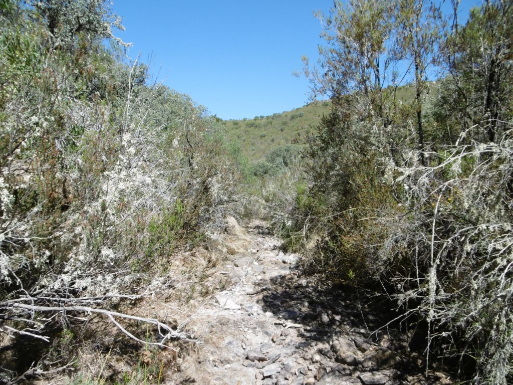 Cauce seco en verano de la reserva natural fluvial Río Gualija
