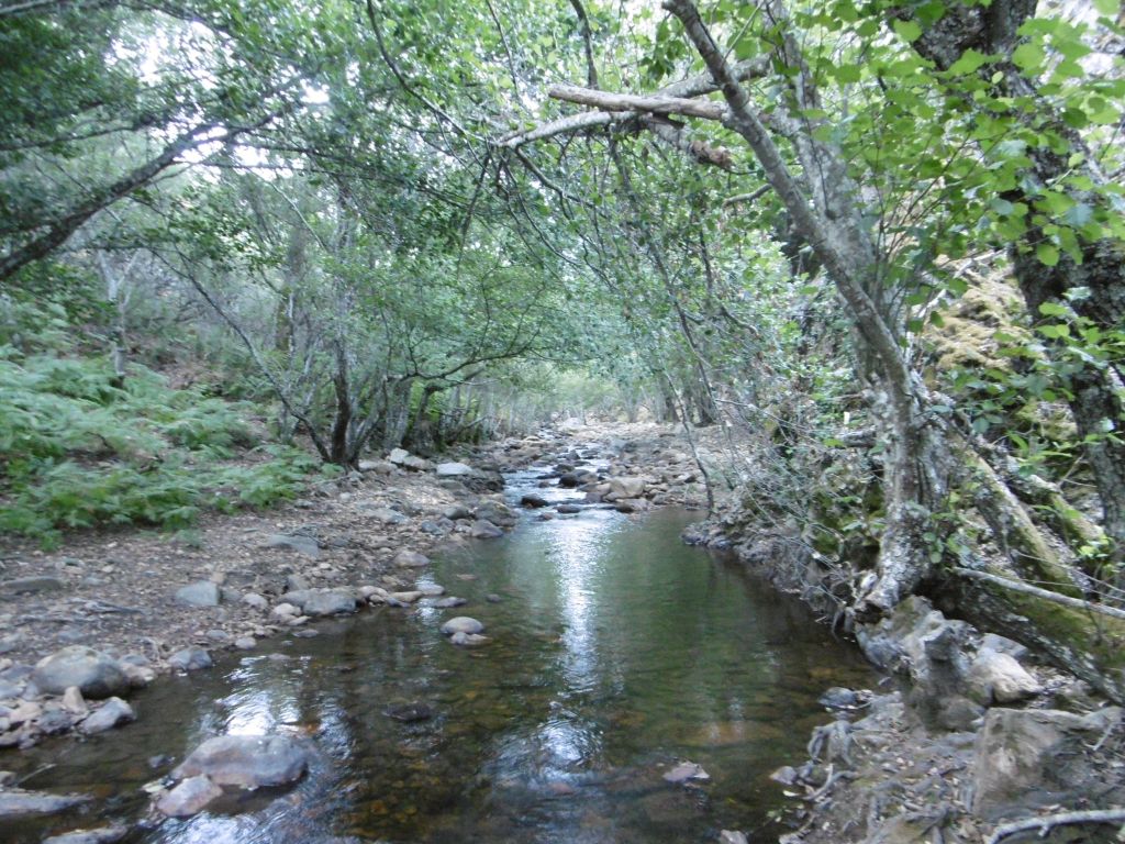 Tramo sombreado de la reserva natural fluvial Río Viejas