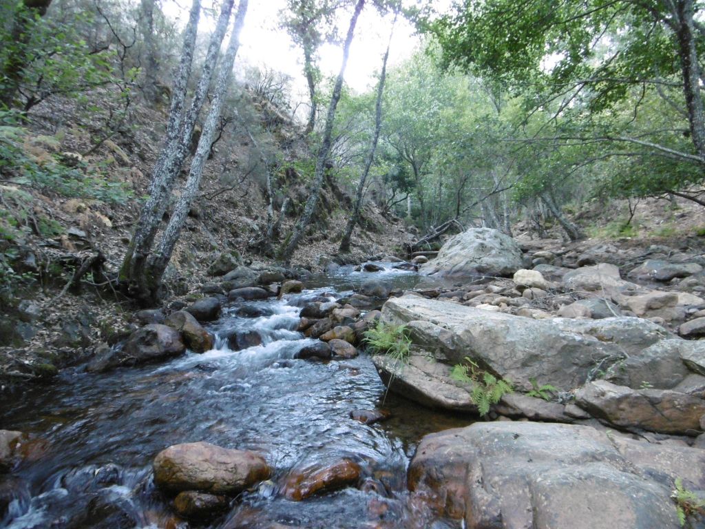 Zona de afloramiento de roca madre con rápidos en la reserva natural fluvial Río Viejas