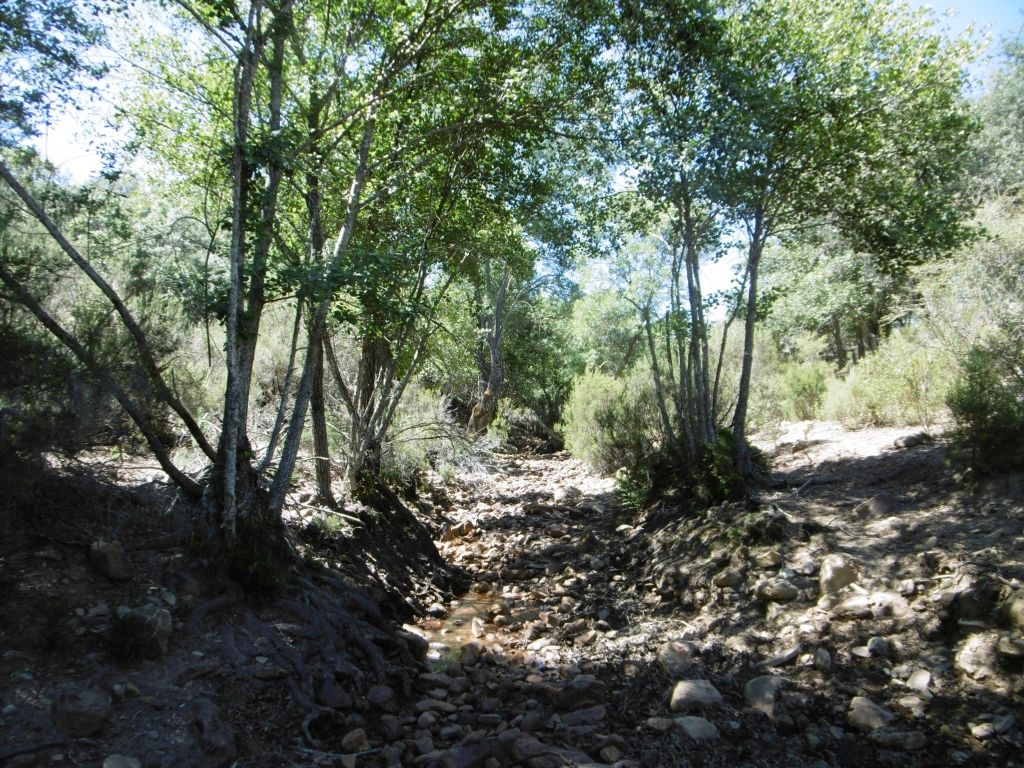 Granulometría de sedimentos gruesa, dominada por gravas, bloques y cantos en la reserva natural fluvial Río Mesto