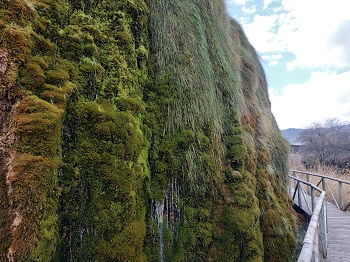 Actuaciones Para La Gestión De Las Aguas Subterráneas Y Los - 