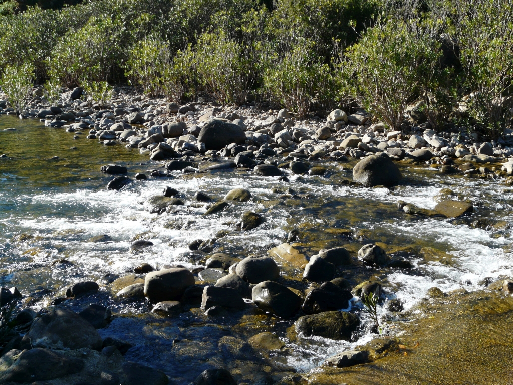 Reserva Natural Fluvial Alto Hozgarganta