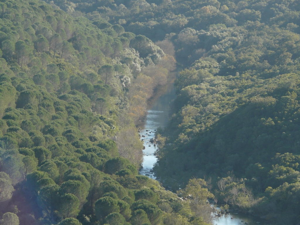Reserva Natural Fluvial Alto Hozgarganta