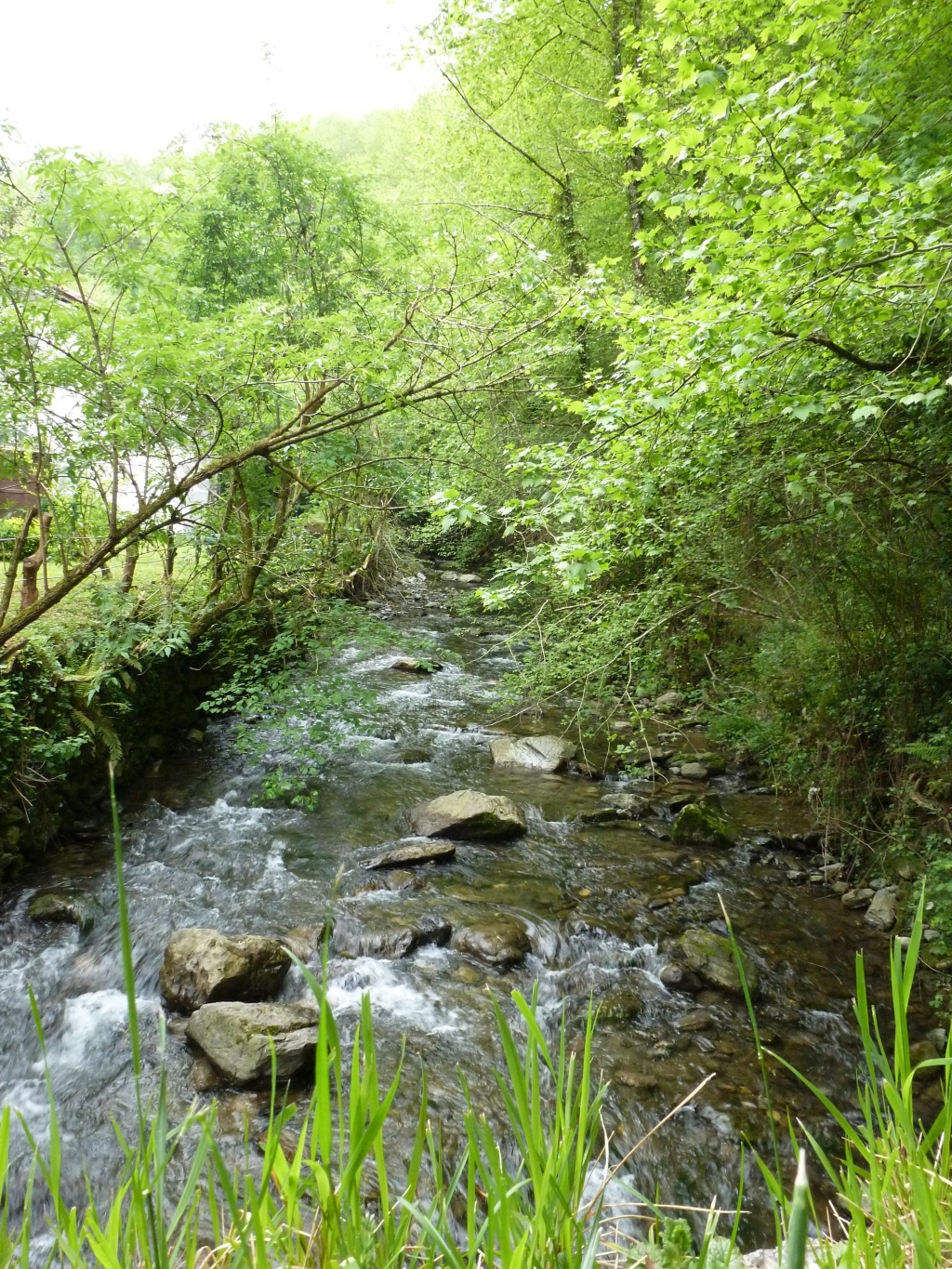 Reserva Natural Fluvial Altzolaratz