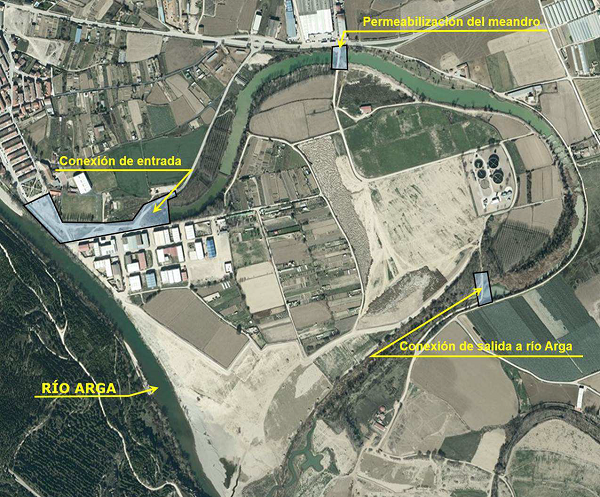 Proyecto de conexión hidrológica y mejora de hábitats en los meandros del tramo bajo del río Arga (Navarra). Fase 3