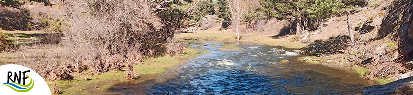 Reserva natural fluvial arroyo de la Dehesa 