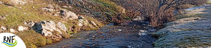 Reserva natural fluvial Río Alberche 
