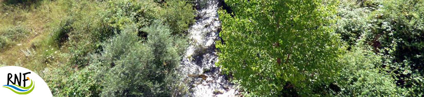Reserva natural fluvial del río Villahermosa