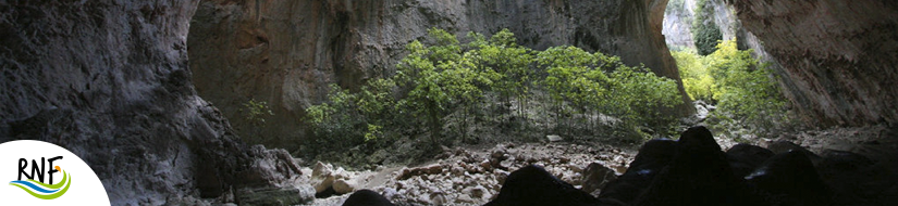 Reserva Natural Fluvial Arroyo Ballestero 