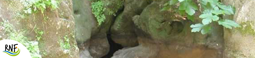 Reserva Natural Fluvial Torrent de Biniaraix