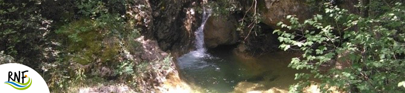 Reserva Natural Fluvial Cabecera de Peguera 