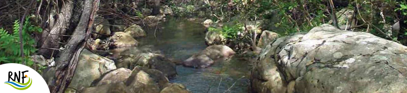 Reserva Natural Fluvial Garganta del Aljibe 