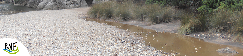 Reserva Natural Fluvial Torrent de Lluc - Pareis
