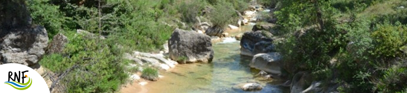 Reserva Natural Fluvial Tramo Medio del Aigua d'Ora