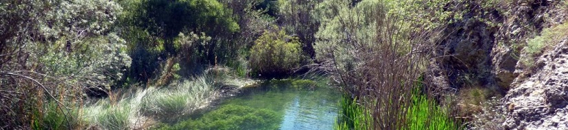 Reserva natural fluvial del río Cabriel
