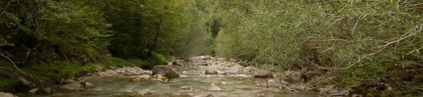 Reserva Natural Fluvial Río Ara desde su nacimiento hasta río Arazas (incluye río Arazas)