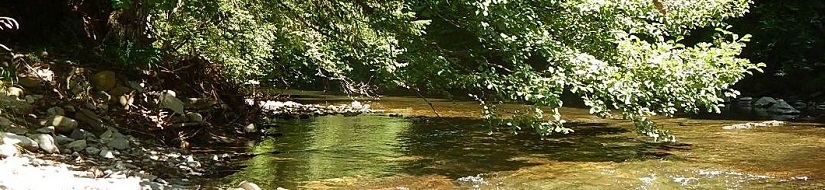 Reserva Natural Fluvial Río Urbelcha desde su nacimiento hasta la cola del embalse de Irabia