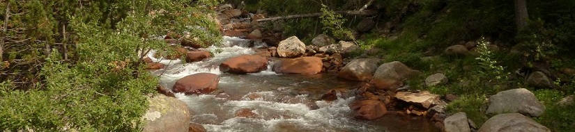 Reserva Natural Fluvial Río Vallibierna desde su nacimiento hasta su desembocadura en el río Ésera