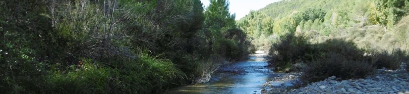 Reserva natural fluvial Río Tus desde su cabecera hasta el balneario de Tus
