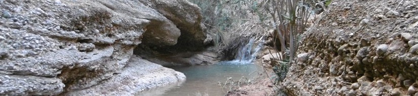 Reserva natural fluvial Río Chícamo (desde su nacimiento hasta El Partidor)