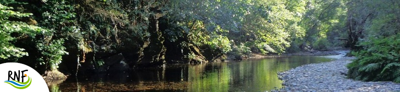 Reserva natural fluvial Tramo medio del río Agüeira