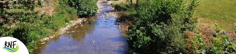 Reserva natural fluvial Río Porcia desde su nacimiento hasta su desembocadura